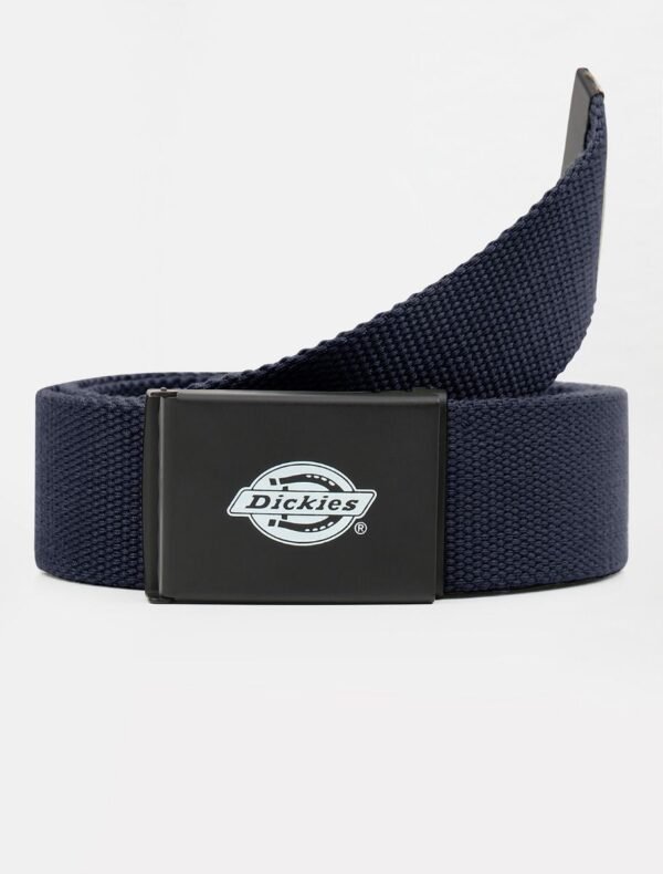 Orcutt Webbing Belt