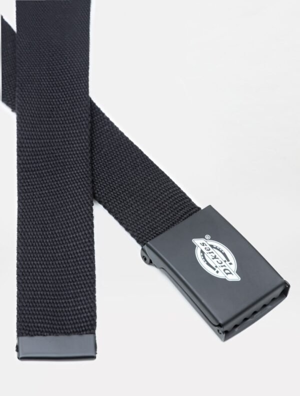Orcutt Webbing Belt – Image 2