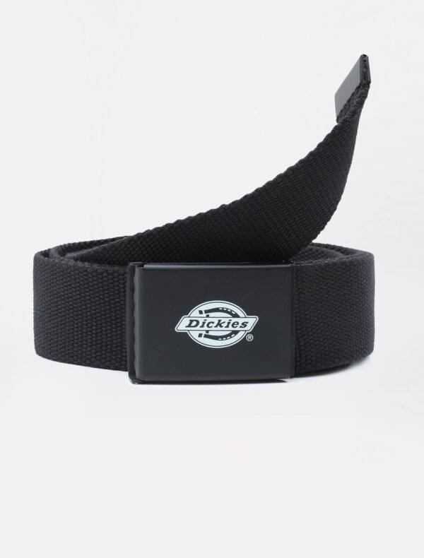 Orcutt Webbing Belt