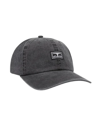 Icon Eyes Pigment 6 Panel