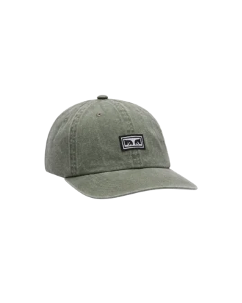 Icon Eyes Pigment 6 Panel