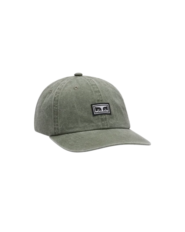 Icon Eyes Pigment 6 Panel