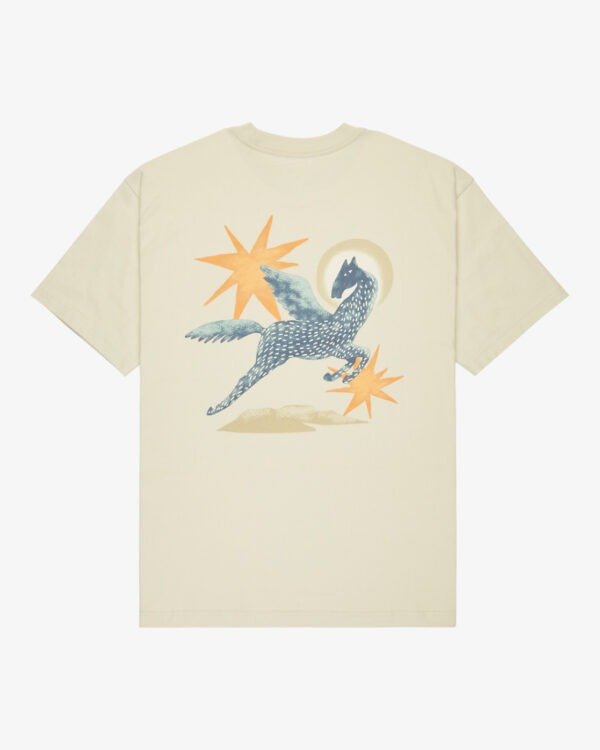 Pegasus – Image 2
