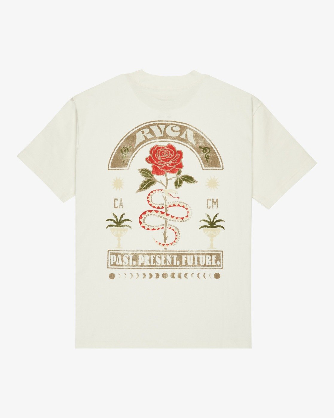 Roses Poster salt
