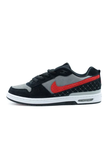 Paul Rodriguez Zoom Air Low