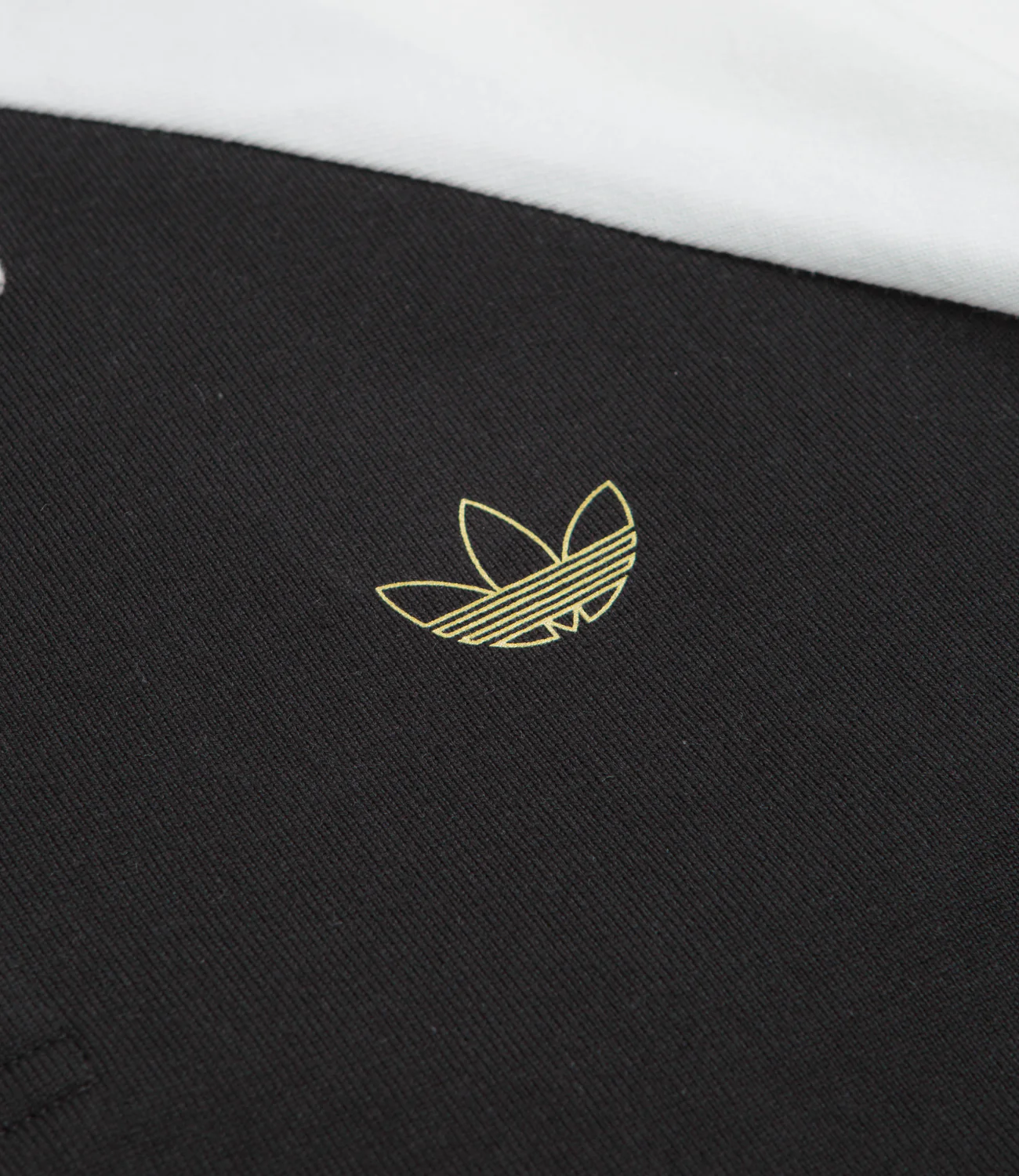 Tyshawn Rugby – Image 3