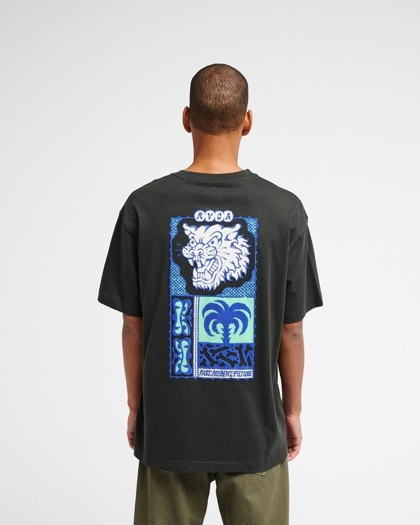 Dalas Tiger Palm – Image 4
